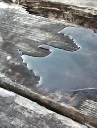 Japanese Piss Fetish Porn - Girls Pissing - Tinkle, Tinkle Little One