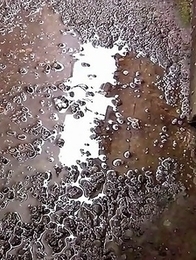 PissJapanTV has Piss Fetish Videos with Girls Pissing - Spraying On The Catwalk