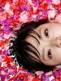 Airi Suzuki in bath suit enjoys petals all over her body